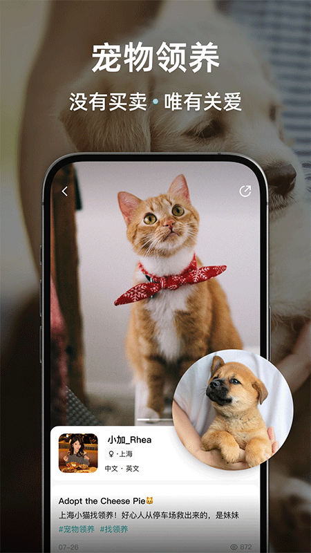 Wellcee租房app截图3