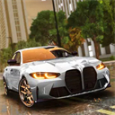 驾驶学校模拟器Evo v1.95.8