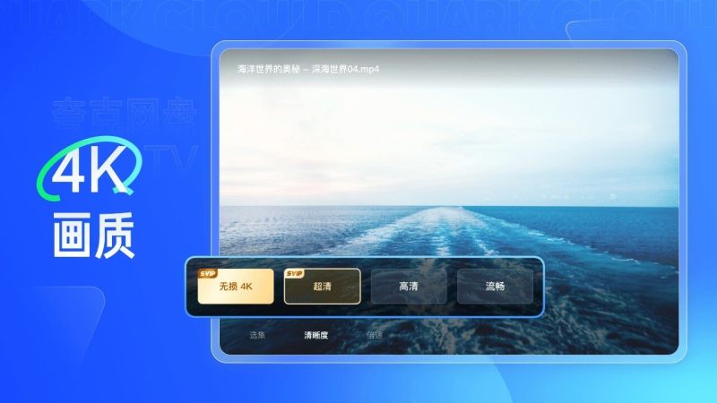 夸克网盘tv版截图3