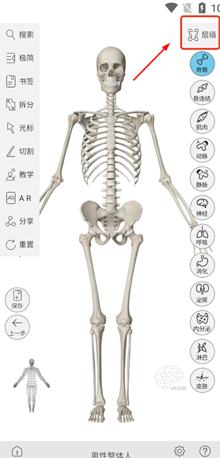 维萨里3D解剖app截图0