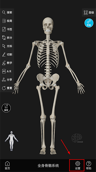 维萨里3D解剖app截图3
