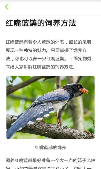 养鸟达人截图0
