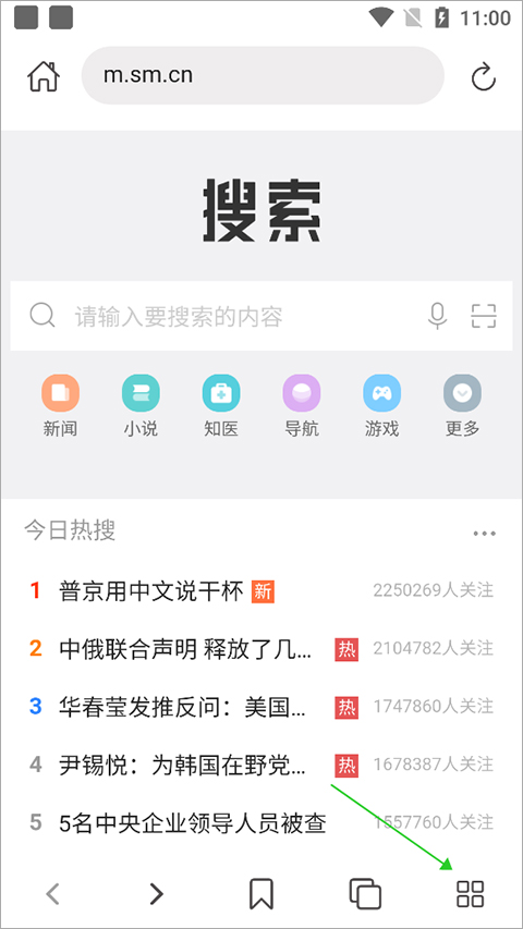 520浏览器截图