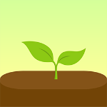 Forest专注森林官方正版