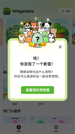 Widgetable安卓中文版截图