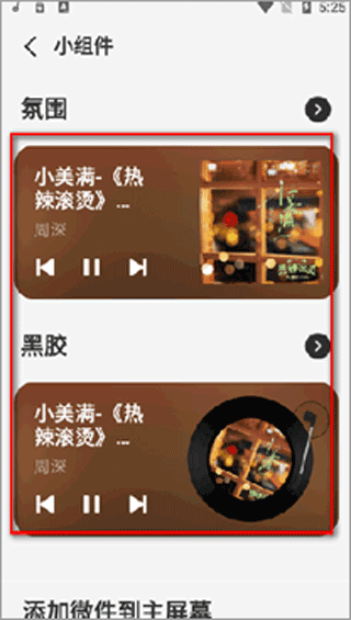 谜底黑胶app截图