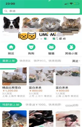寻宠截图
