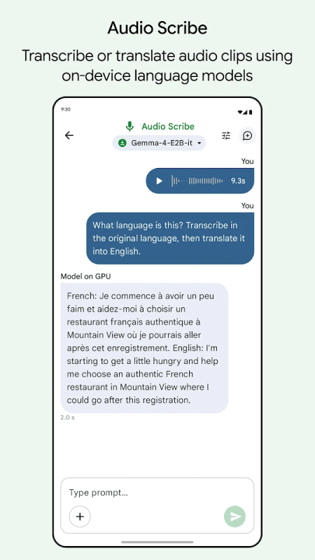 Google AI Edge Gallery截图