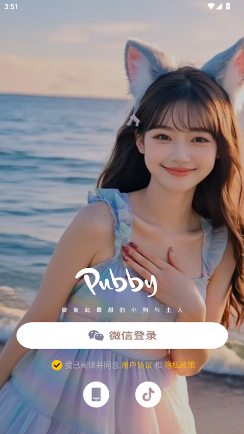Pubby软件截图
