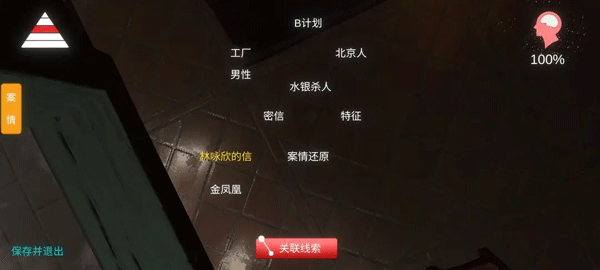 孙美琪疑案金凤凰截图