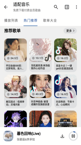 适配音乐截图