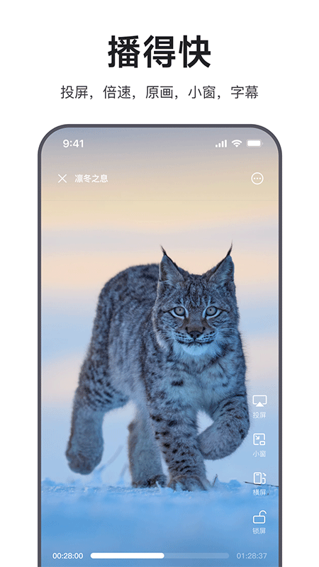 迅雷浏览器app截图