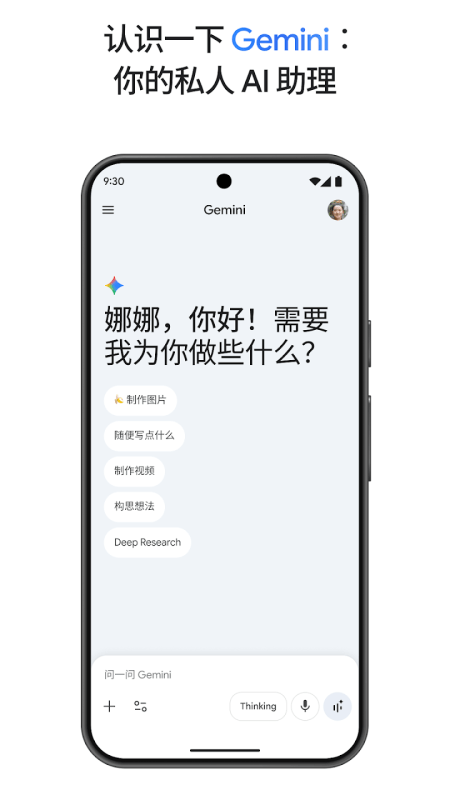 Gemini截图