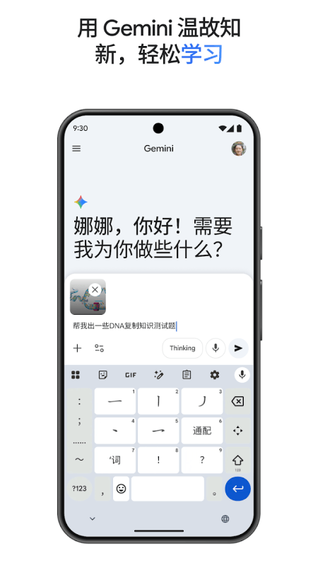 Gemini截图