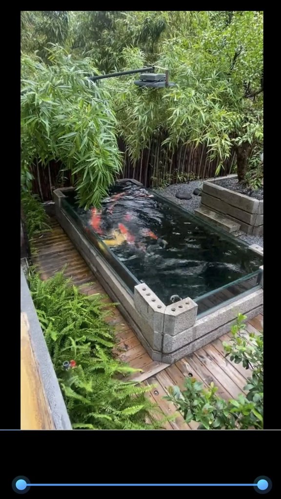 旋风最新官网版截图0