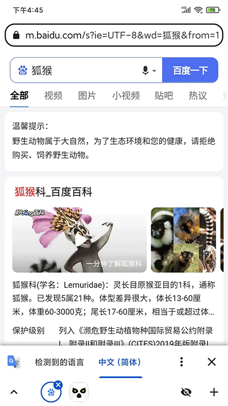 狐猴浏览器app截图