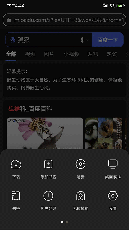 狐猴浏览器app截图
