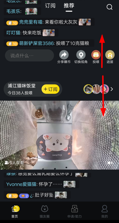 哈啰街猫app截图