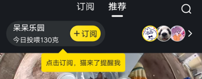 哈啰街猫app截图
