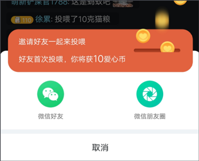 哈啰街猫app截图
