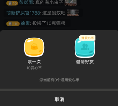 哈啰街猫app截图