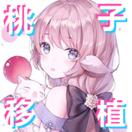 雷电将军的惩罚v3.0汉化版