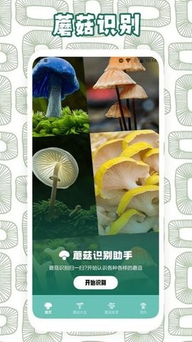 蘑菇识别截图