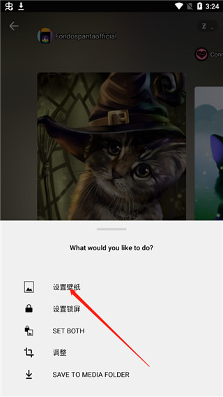 Zedge壁纸官方版截图