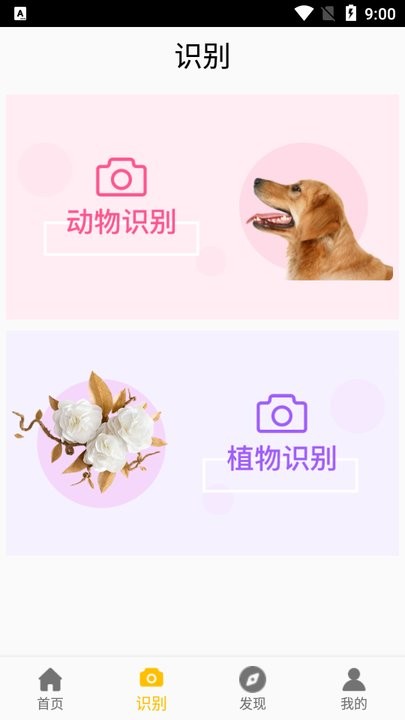 灵通植物截图