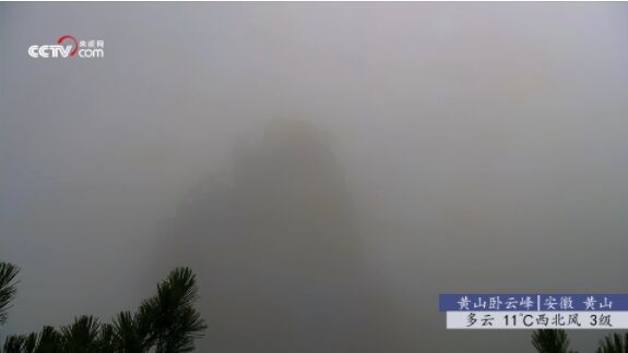 秒看电视截图
