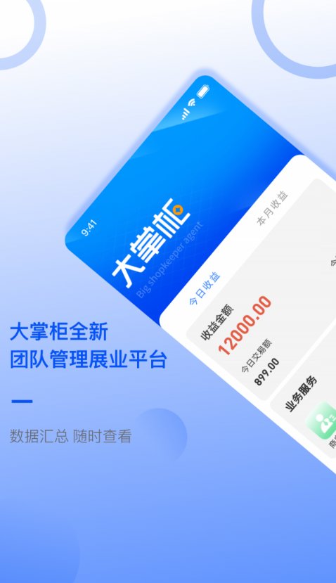 大掌柜服务商截图0