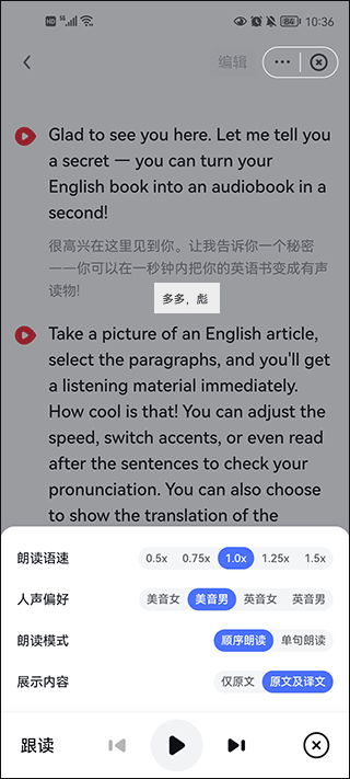 有道词典app截图