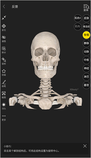 3dbody人体解剖学app官方版截图