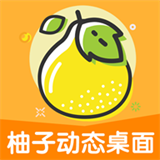 柚子动态桌面