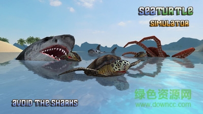 海龟模拟器截图0