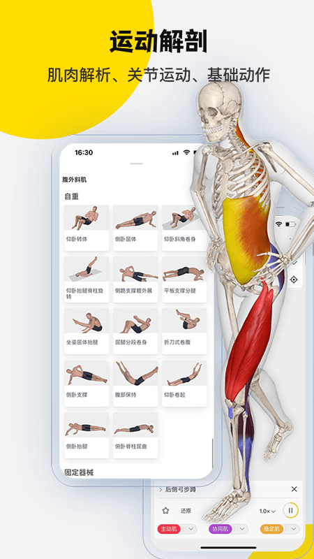 3Dbody解剖截图