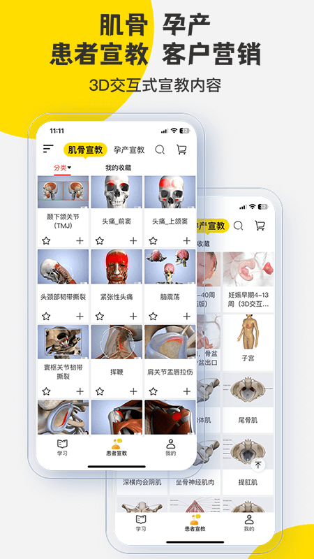 3Dbody解剖截图