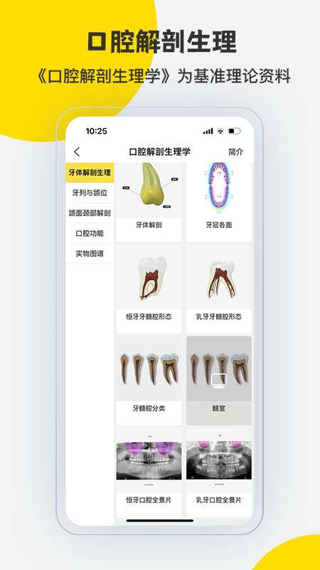 3Dbody解剖截图
