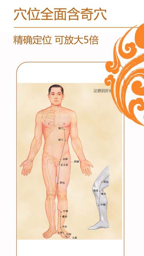 经络养生app截图