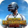 pubg越南服地铁逃生2.8obb（PUBG MOBILE）