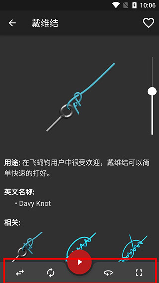 Knots 3D结绳最新版截图