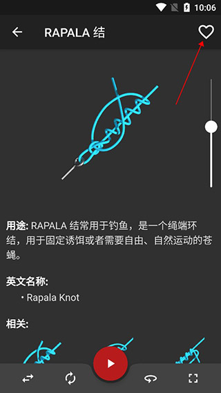 Knots 3D结绳最新版截图
