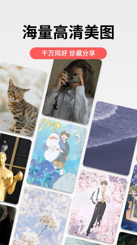 堆糖app截图