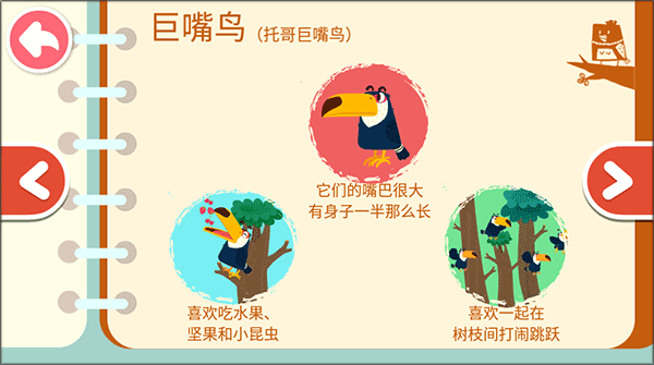 宝宝鸟类认知截图