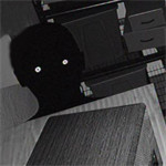 密室监禁2官网版