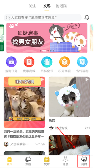 友猫app截图