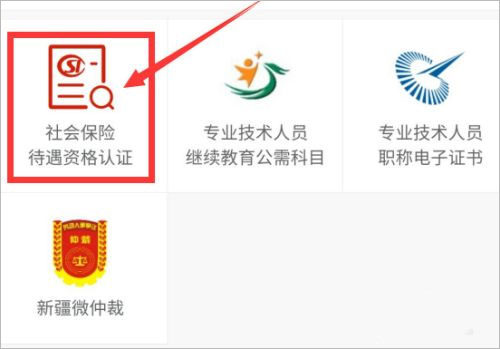新疆智慧人社app官方最新版截图