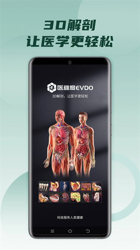 医维度解剖截图