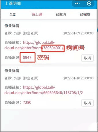 拓课云Plus截图