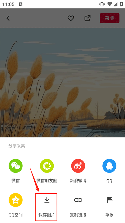 花瓣网免费素材图库官方app截图